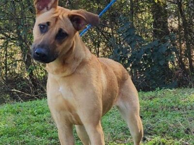 Anyone would be lucky to have Mercy!