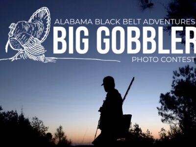 ALBBAA launches Big Gobbler Photo Contest for 2026 turkey season