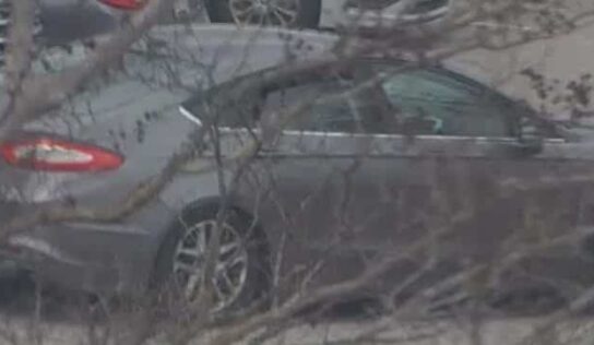 Prattville police search for Target theft suspects